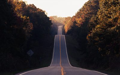 What is strategy?