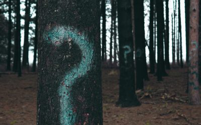 Les tres primeres preguntes que fem als nostres clients
