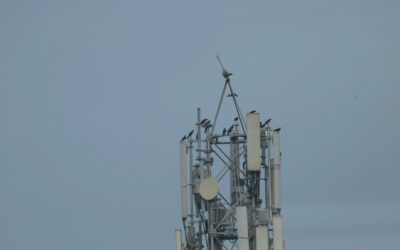 Assessorament en el finançament d’una companyia del sector de les telecomunicacions